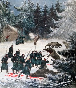 Bärenangriff, Russland, 1892