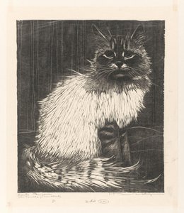 Bunte Angora