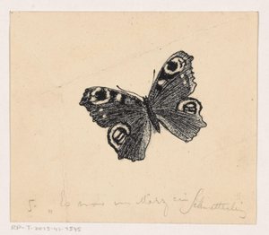 Schmetterling