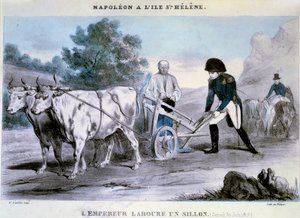 Napoleon I. auf St. Helena: Der Kaiser pflügt eine Furche (30.06.1816) von Henri Villain
