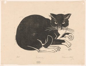 Katze