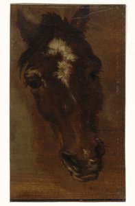 Pferdekopf von Henriëtte Ronner