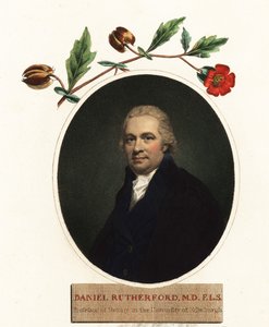 Porträt von Daniel Rutherford, Botaniker (Gravur) von Henry (after) Raeburn
