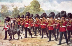 Die Irish Guards mit ihrem Regimentstier marschieren im Park