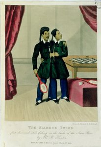 Die siamesischen Zwillinge, erstmals entdeckt beim Angeln am Ufer des Siam-Flusses von Mr. R. Hunter, 1829 von Henry Berthoud
