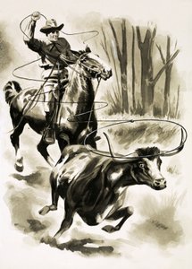 Ein Cowboy fängt ein Rind vom Pferd aus mit einem Lasso