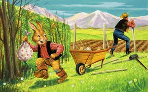 Bär Hase