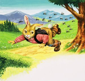 Bär Hase