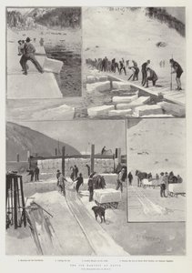 Die Eisernte in Davos