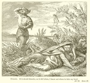 Der Sturm von Henry Courtney Selous