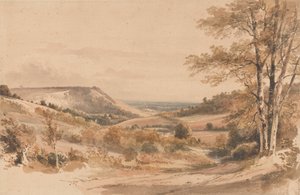 Boxhill von Westhumble Lane