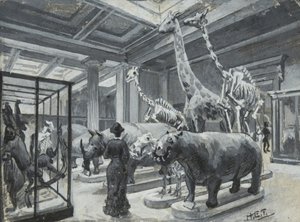 Innenansicht des Britischen Museums mit der Galerie mit Tierausstellungen, ca. 1880