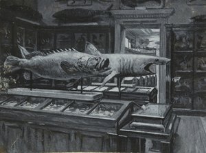 Innenansicht des British Museum mit der Galerie der Fisch-Exponate, ca. 1880 von Henry Edward Tidmarsh