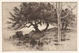 In der Nähe des Meeres von Henry Farrer