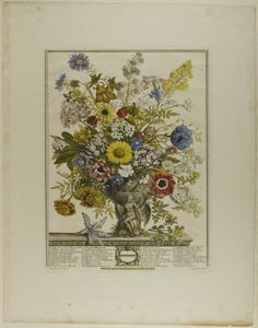 November, aus Zwölf Monate der Blumen