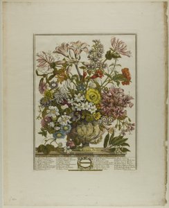 Oktober, aus Zwölf Monate der Blumen von Henry Fletcher