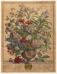 Zwölf Monate der Blumen: Juli