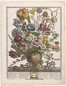 Zwölf Monate der Blumen: März