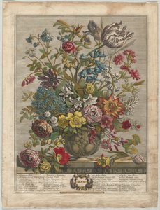 Zwölf Monate der Blumen: Mai