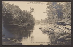 Die Engpässe der Dells von Wisconsin von Henry Hamilton Bennett
