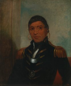 Großer Büffel (Chippewa) von Henry Inman