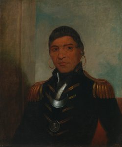 Großer Büffel Chippewa von Henry Inman