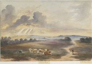 Cannock Chase - Heath: Aquarellmalerei