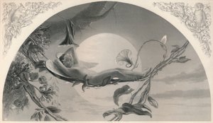 Ariel Der Sturm