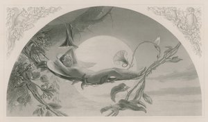 Ariel, der Sturm