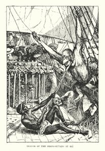 Schrecken des Orang-Utans in Sai von Henry Justice Ford