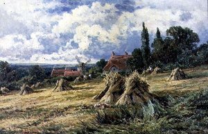 Ein Kornfeld in Surrey