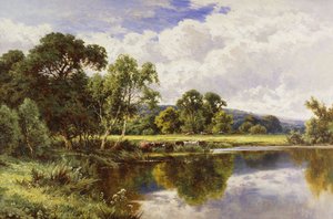 Eine bewaldete Flusslandschaft mit Vieh
