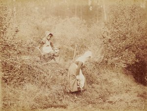 Über Hecke und Graben von Henry Peach Robinson