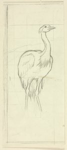 Stehender Vogel von Henry Stacy Marks