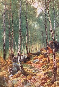 Ein Birkenwald im Frühling, am Loch Maree, Ross-Shire von Henry Sutton Palmer
