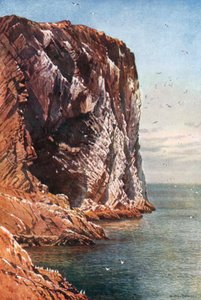 Der Bass Rock, Firth of Forth, vor der Küste von Haddingtonshire von Henry Sutton Palmer