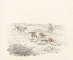 Zwei Zeiger, nach rechts mit einem Sportsmann von Henry Thomas Alken