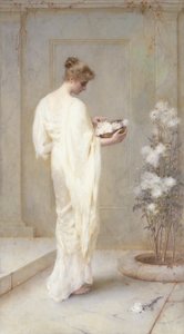 Göttlich schön von Henry Thomas Schafer