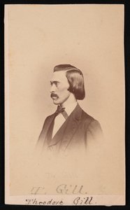 Porträt von Theodore Nicholas Gill 1837-1914, zwischen 1865 und 1870 von Henry Ulke