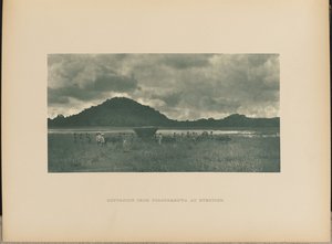 Rückkehr von Polonnaruwa bei Abenddämmerung von Henry W. Cave