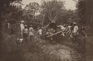 Ruinenstädte von Ceylon: Auf dem Weg nach Polonnaruwa von Henry W. Cave