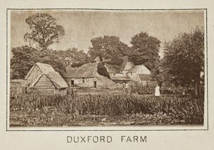 Duxford Farm von Henry W. Taunt