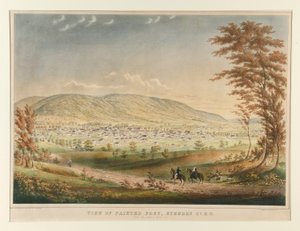 Ansicht von Painted Post, Steuben Co. NY von der Nordseite von Henry Walton