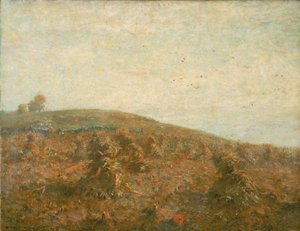 Das Kornfeld
