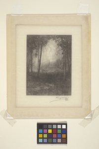 In den Adirondacks von Henry Wolf