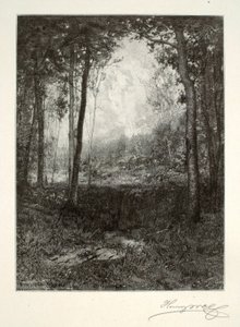 In den Adirondacks