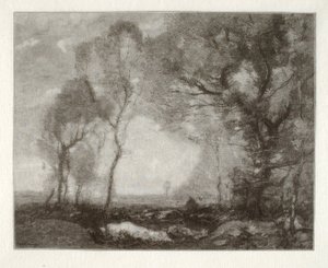 Landschaft