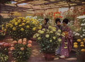 Auf der Chrysanthemen-Ausstellung von Herbert Ponting