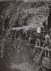 Kirschblütenzeit in Japan