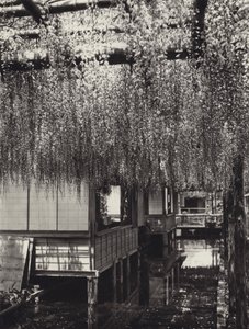 Japan in den 1920er Jahren: Tokio, Kameido